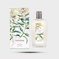 Verveine