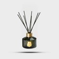 Spiritus Sancti Diffuser