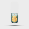 Figuerie Scented Candle