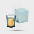 Figuerie Scented Candle