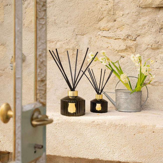 Ernesto Diffuser