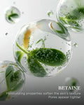 The Cleansing Foaming Gel