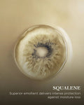 The Eye Recovery Serum